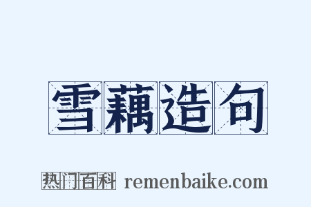 雪藕造句是什么意思的图片